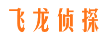 新干外遇调查取证